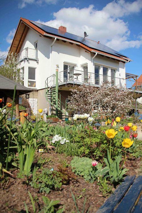 Kreischa Ferienwohnung Dr. Vera Schmidt מראה חיצוני תמונה